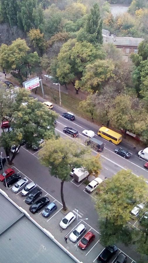 Альтаир أوديسا المظهر الخارجي الصورة